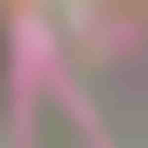 Yдобни хеланки | SPRINTLEGS