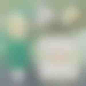 Инстантно решение за поправка на ѕидови | WALLFIX