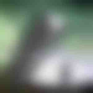 Супер моќна преносна светилка | BLAZORA