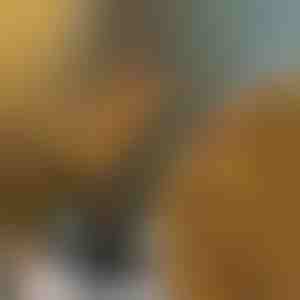 Светла во форма на гранки | BRANCHLUMOS