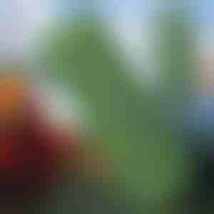 Ултралесен камперски душек | BUBIMAT