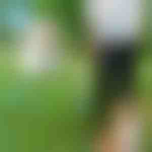 Опашка за кучиња за слободни раце | CROSSLEASH