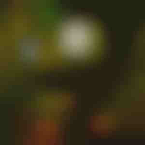 Соларни светла за патеки (6 парчиња) | LUMITRAD