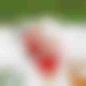 Пенџерецот Дедо Мраз SANTACLIMB