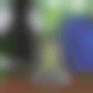 Унисекс ранец со јажиња | STRIPEBACK