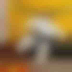 Надувлив костум за сумо | SUMOCOS