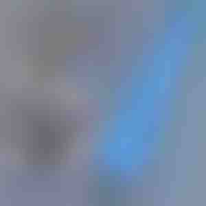 Четка за прашина со долг дострел | DUSTOFF