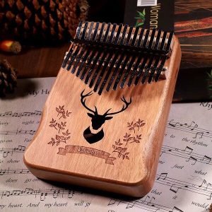 Африкански музички инструмент | MELODIKO