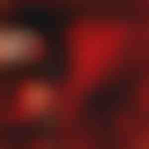 Подарокот што зборува љубов | LOVEBEAR