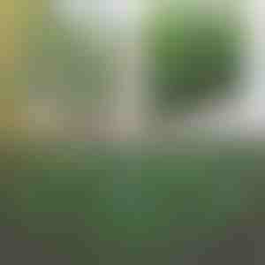 Повлечена ограда за градина (30 x 80 cm) | GREENFENCE