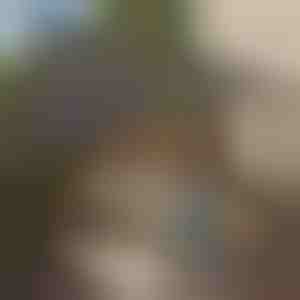 Триаголно сенчило | SHADI