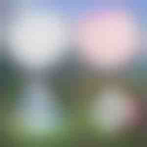 Мултифункционален надувлив меур | SLIMEBUB