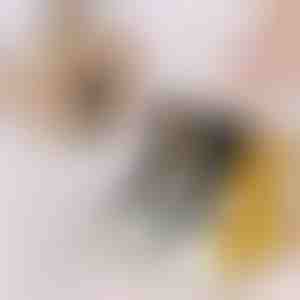 Чорапи со мачки тапи (3 пара) | GATOSOCKS